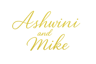 ashwini & mike